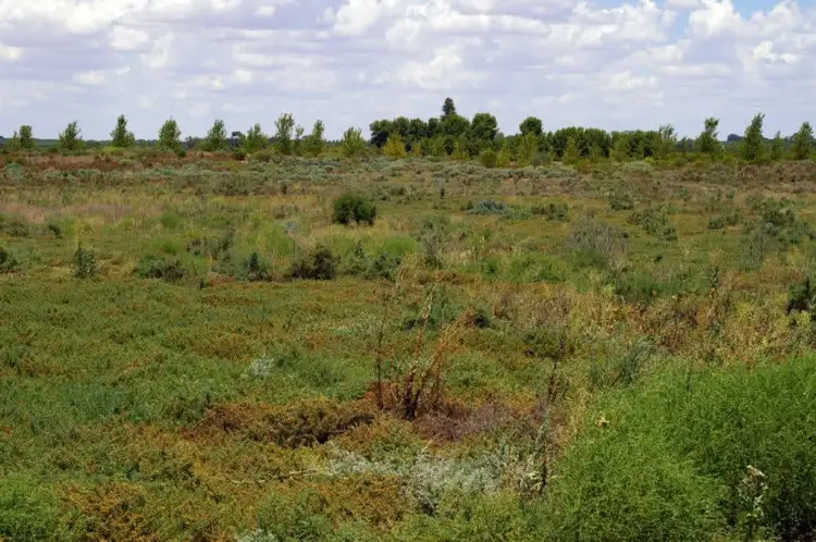 Lot 1 Wentworth Road, Renmark SA 5341