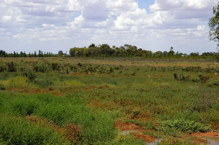 Second view of Homely rural property listing, Lot 1 Wentworth Road, Renmark SA 5341