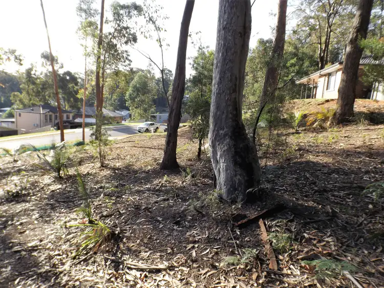 Seventh view of Homely land listing, 113 Litchfield Crescent, Long Beach NSW 2536