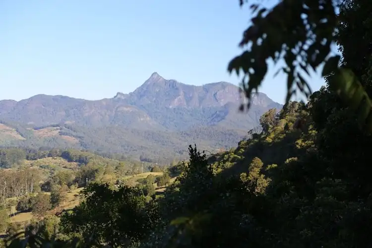 3537 Nerang Murwillumbah Road, Natural Bridge QLD 4211