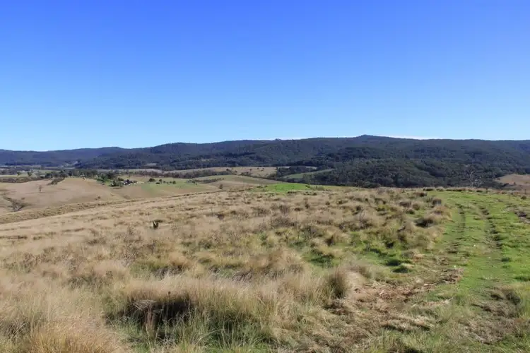 Third view of Homely rural property listing, Lot 1 Bruxner Highway, Tenterfield NSW 2372