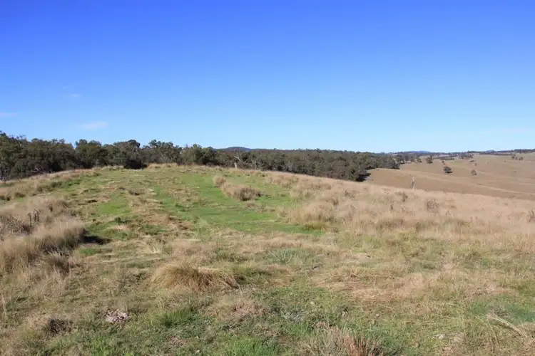Sixth view of Homely rural property listing, Lot 1 Bruxner Highway, Tenterfield NSW 2372