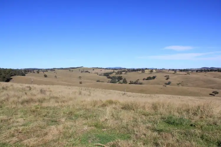 Seventh view of Homely rural property listing, Lot 1 Bruxner Highway, Tenterfield NSW 2372