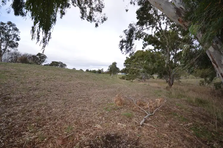 Fourth view of Homely rural property listing, CA 3 Green Street, Elmhurst VIC 3469