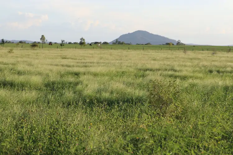 Main view of Homely rural property listing, 167 Pandora Road, Alton Downs QLD 4702