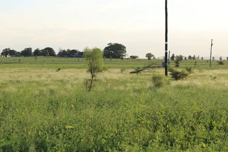 Third view of Homely rural property listing, 167 Pandora Road, Alton Downs QLD 4702