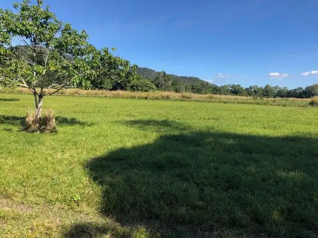 Third view of Homely land listing, 0 Pine Creek - Yarrabah Road, East Trinity QLD 4871
