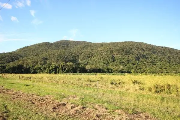 Sixth view of Homely land listing, 0 Pine Creek - Yarrabah Road, East Trinity QLD 4871
