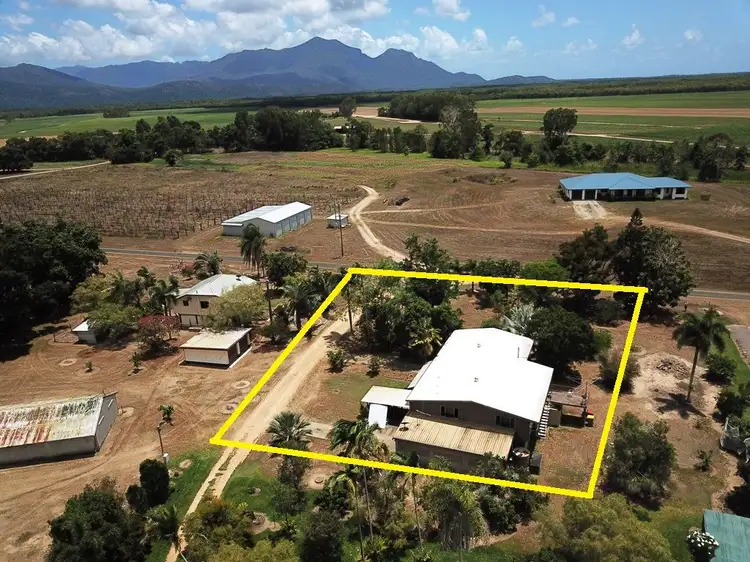 461 Bullock Paddock Road, Macknade QLD 4850