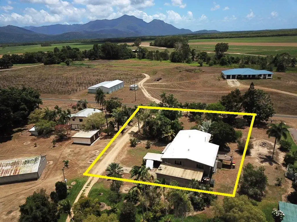 Main view of Homely house listing, 461 Bullock Paddock Road, Macknade QLD 4850