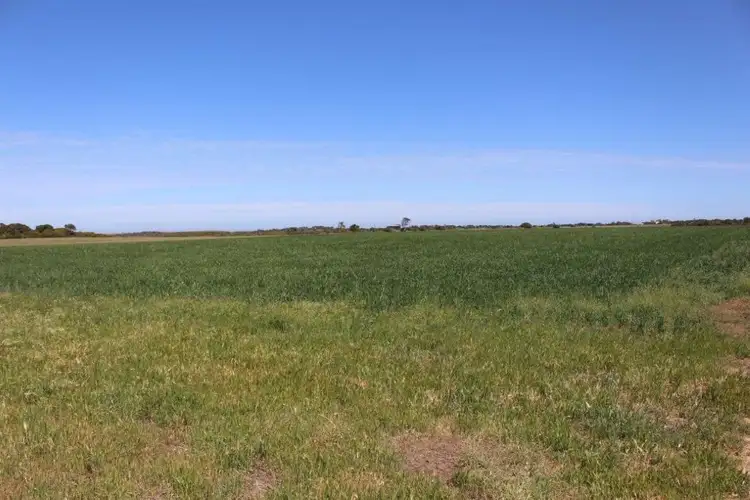 Main view of Homely land listing, Lot 166 Padbury Road, Bookara WA 6525