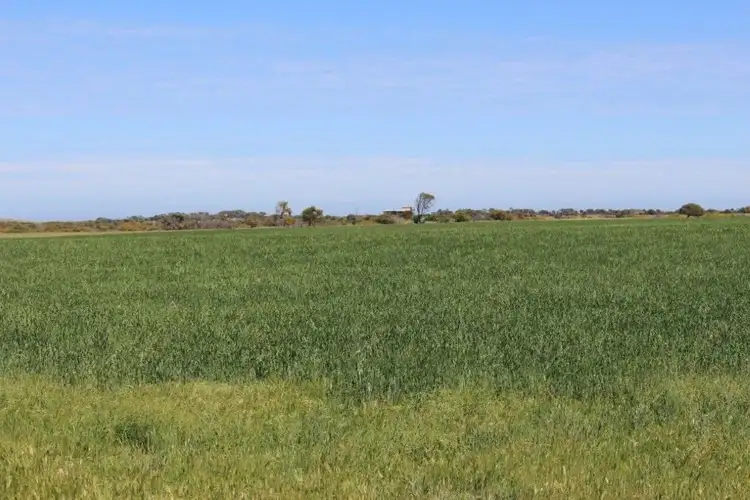 Second view of Homely land listing, Lot 166 Padbury Road, Bookara WA 6525