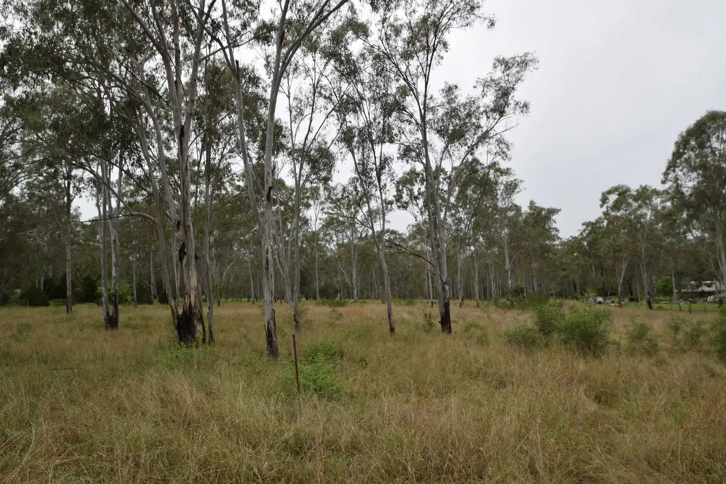 Main view of Homely rural property listing, 11 Outlook Drive, Esk QLD 4312