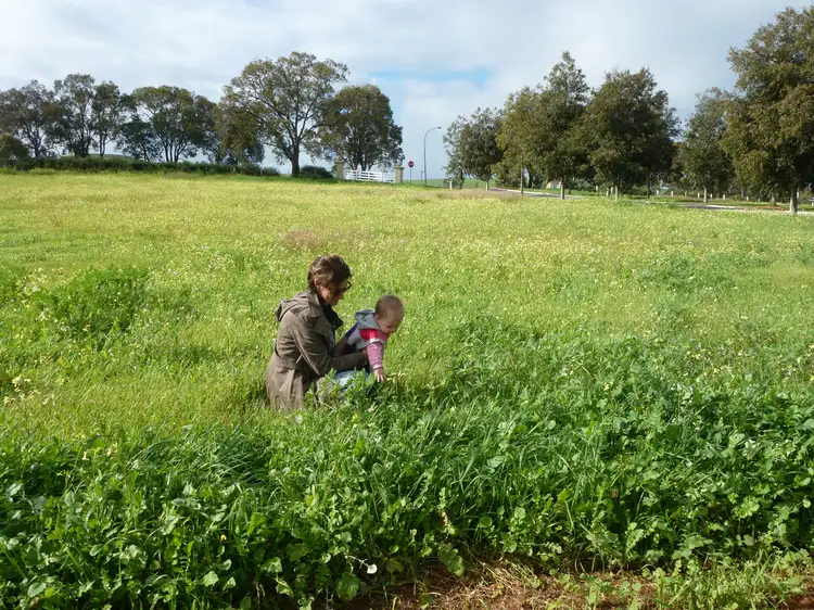 Sixth view of Homely land listing, 2 Cruden Place, Gingin WA 6503