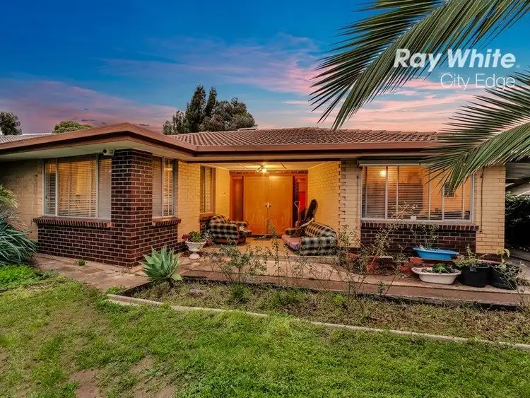 19 Icarus Avenue, Modbury North SA 5092