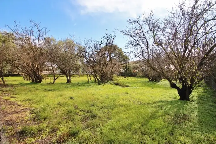 Lot 224 Church Street, Burra SA 5417