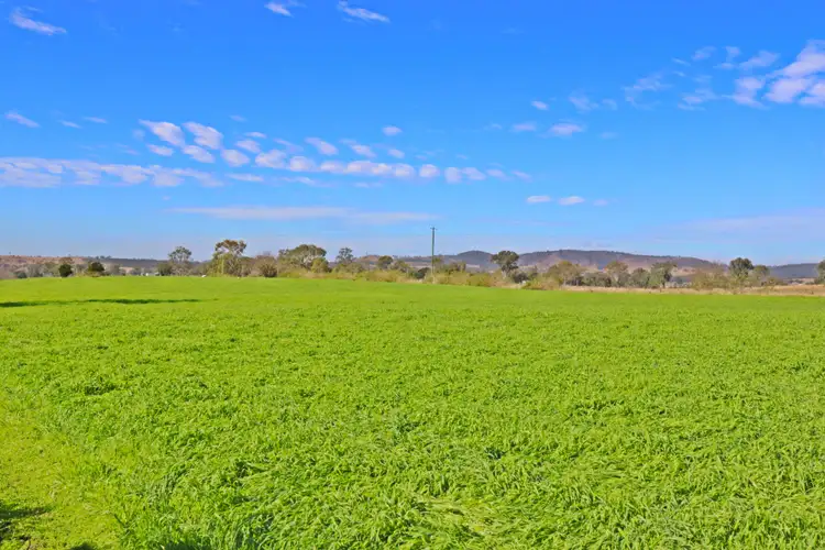 Seventh view of Homely rural property listing, 680 Rosevale Road, Rosevale QLD 4340