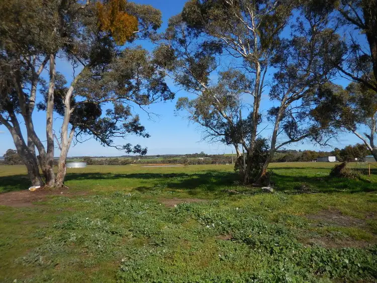 Fourth view of Homely rural property listing, 883 Collins Road, Kendenup WA 6323