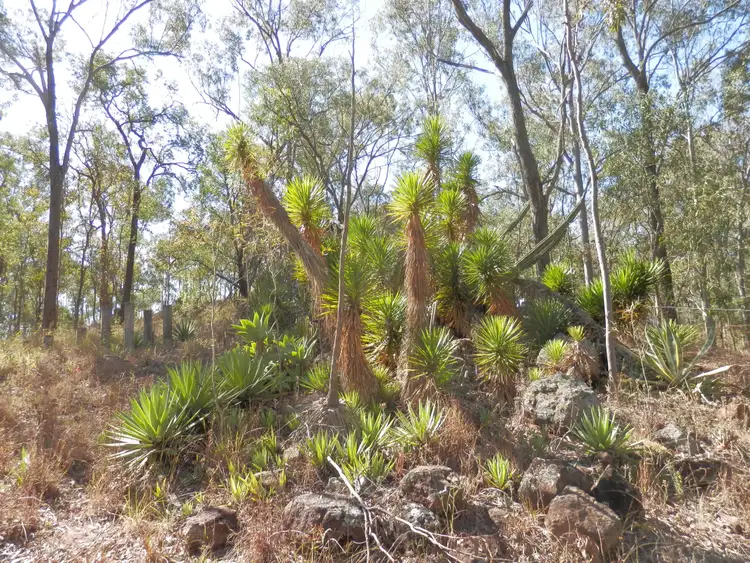 Main view of Homely land listing, Lot 220 Rifle Range Road, Deebing Heights QLD 4306
