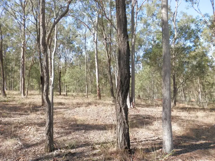 Sixth view of Homely land listing, Lot 220 Rifle Range Road, Deebing Heights QLD 4306