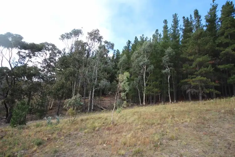 Sixth view of Homely rural property listing, 600 Greywacke Road, Oberon NSW 2787