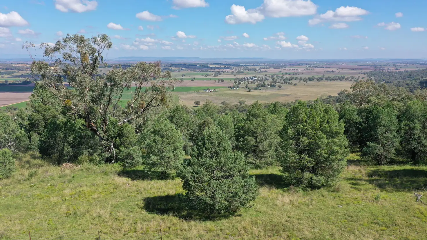Main view of Homely land listing, 65 Ray Carter Drive, Quirindi NSW 2343