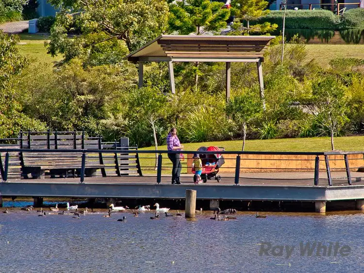 Seventh view of Homely land listing, 16 Comet Circuit, Warner QLD 4500