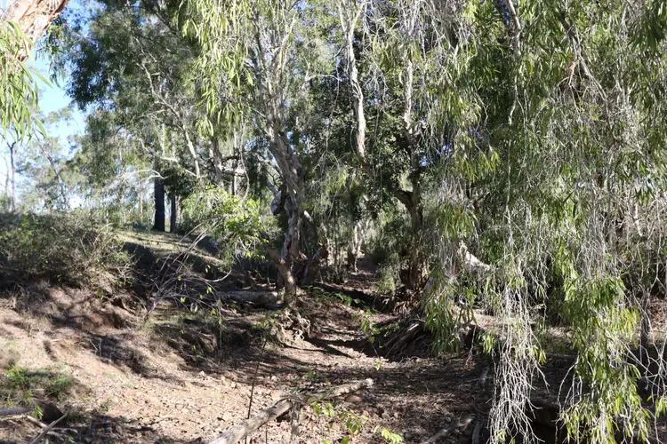 Sixth view of Homely rural property listing, Lot 26 Stanwell-Waroula Road, Dalma QLD 4702