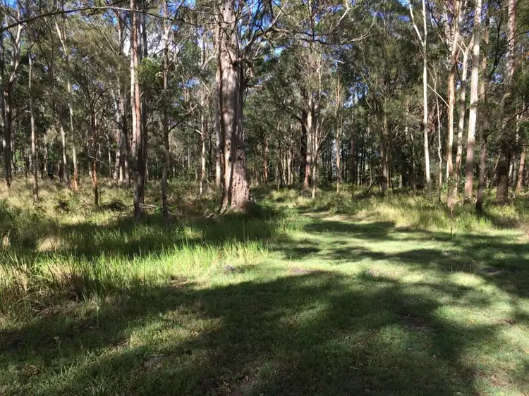 Fifth view of Homely land listing, Lot11/905K Main Western Road, Tamborine Mountain QLD 4272