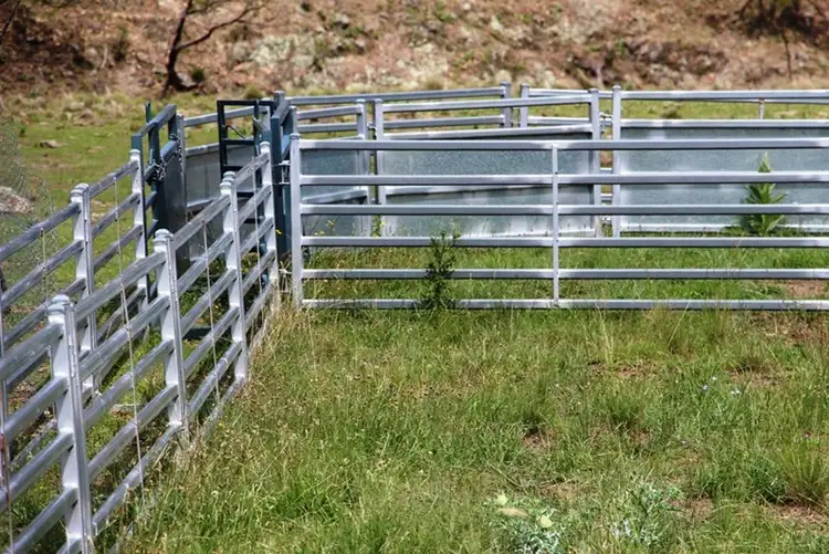 Seventh view of Homely rural property listing, 93 Armidale Gully Road, Armidale NSW 2350