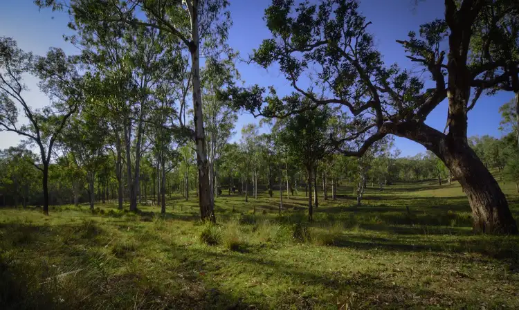 Fourth view of Homely rural property listing, 992 Wivenhoe-Somerset Road, Fernvale QLD 4306