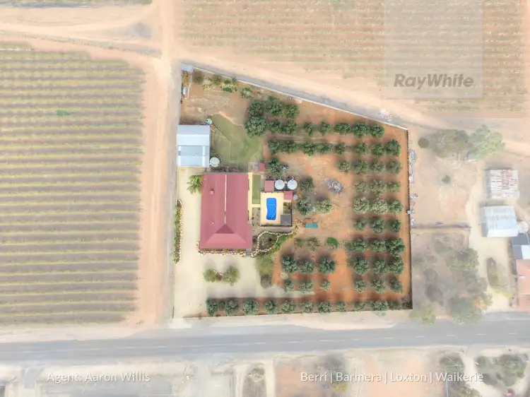 Fourth view of Homely house listing, 30 Alamein Avenue, Loxton SA 5333
