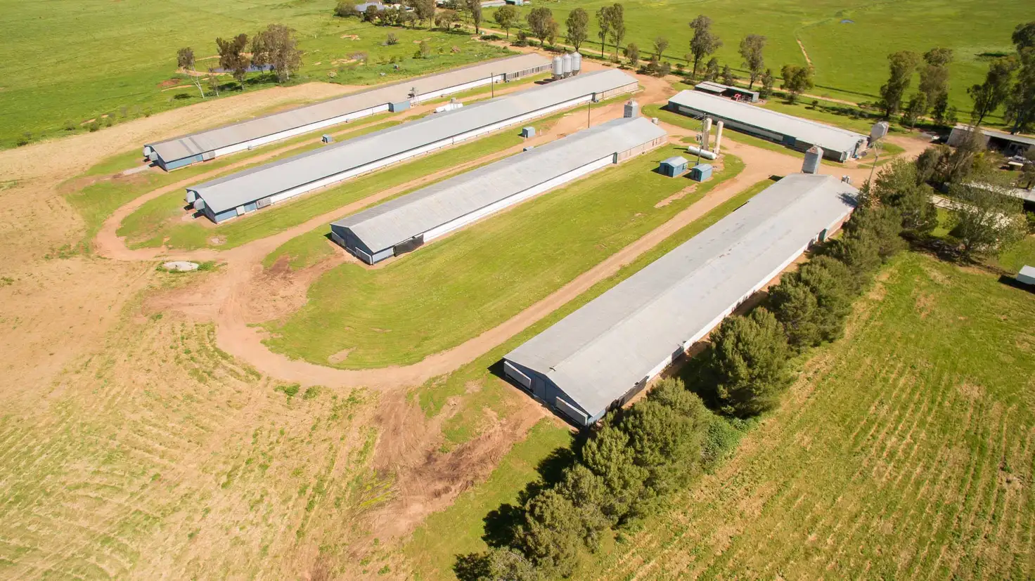 Main view of Homely rural property listing, 126 Byamee Lane, Tamworth NSW 2340