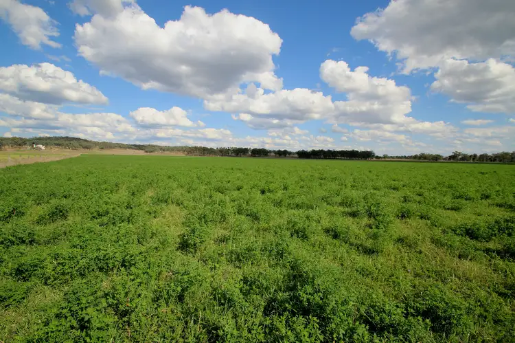 Sixth view of Homely rural property listing, Address available on request