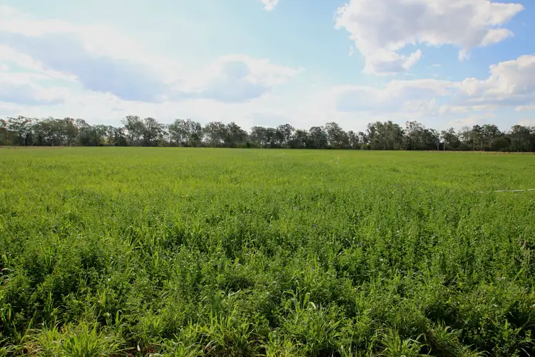 Seventh view of Homely rural property listing, Address available on request