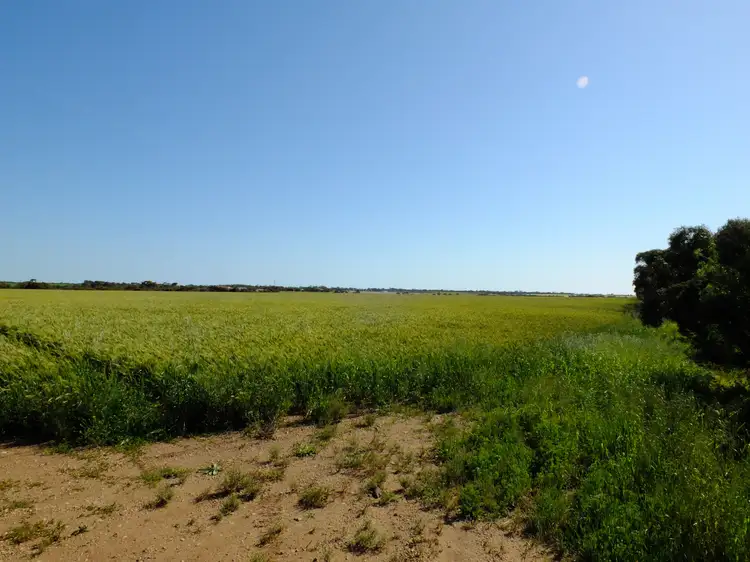 Main view of Homely rural property listing, Sections 292 293 + 300 + 301 Manuel Road, Kadina SA 5554