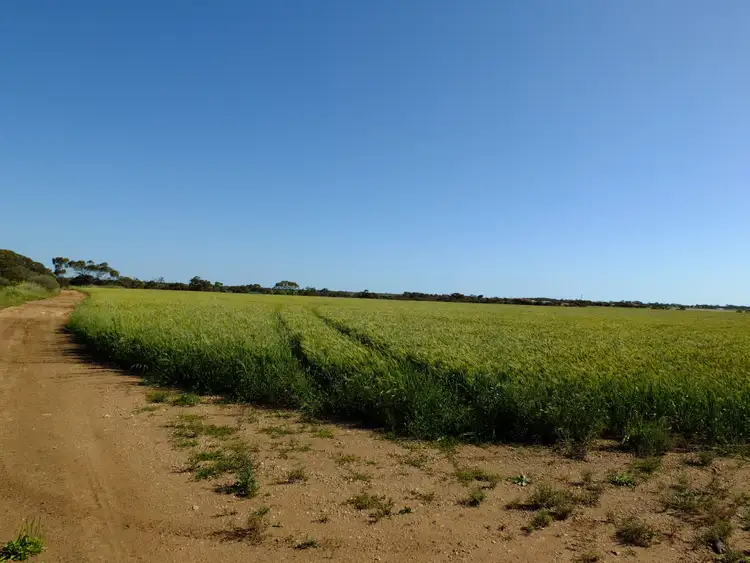Second view of Homely rural property listing, Sections 292 293 + 300 + 301 Manuel Road, Kadina SA 5554
