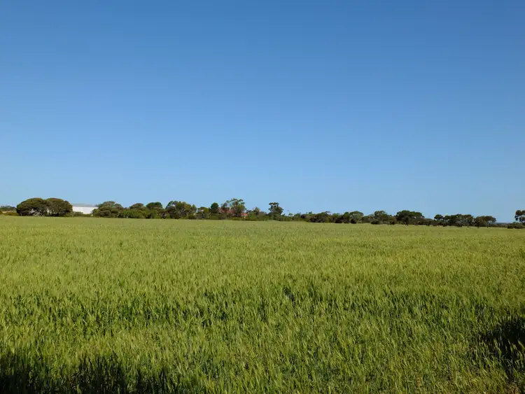 Third view of Homely rural property listing, Sections 292 293 + 300 + 301 Manuel Road, Kadina SA 5554