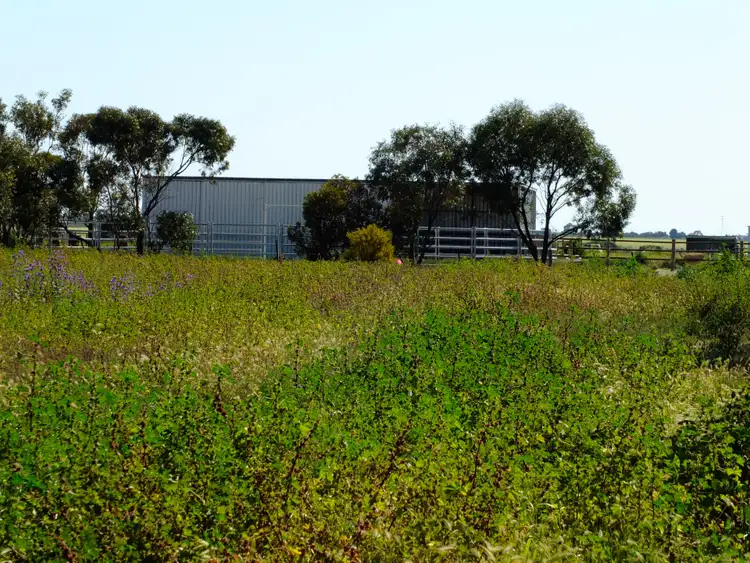 Fourth view of Homely rural property listing, Sections 292 293 + 300 + 301 Manuel Road, Kadina SA 5554