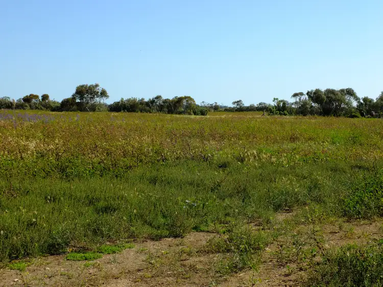 Fifth view of Homely rural property listing, Sections 292 293 + 300 + 301 Manuel Road, Kadina SA 5554