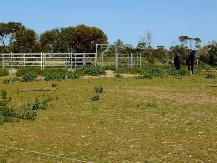 Sixth view of Homely rural property listing, Sections 292 293 + 300 + 301 Manuel Road, Kadina SA 5554