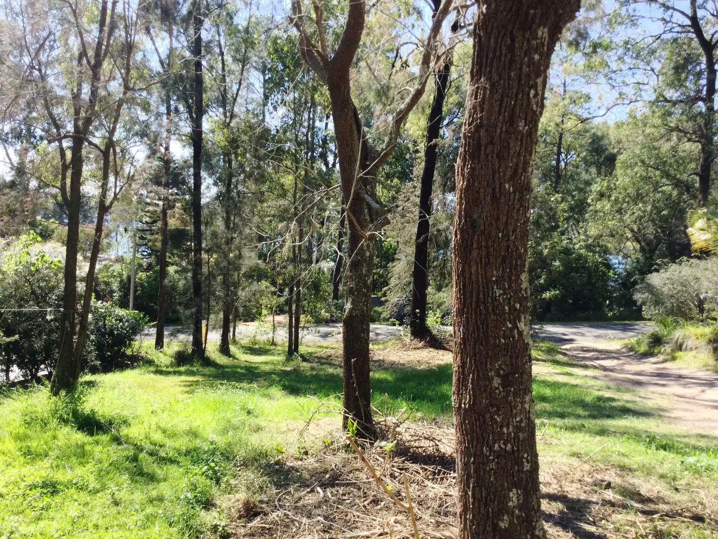Main view of Homely land listing, 33 Cove Boulevarde, North Arm Cove NSW 2324