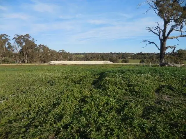 Lot 309 Redgum Pass Road, Kendenup WA 6323
