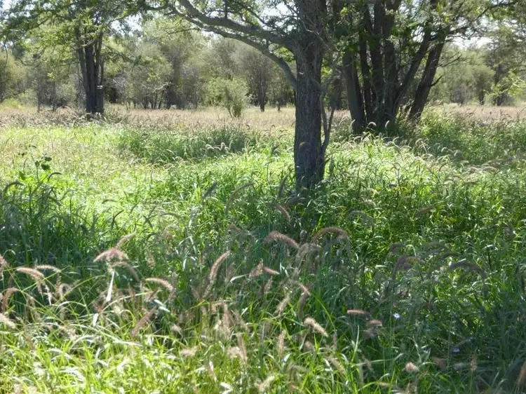 Third view of Homely land listing, Lot 10 Frames Lane, Blackall QLD 4472
