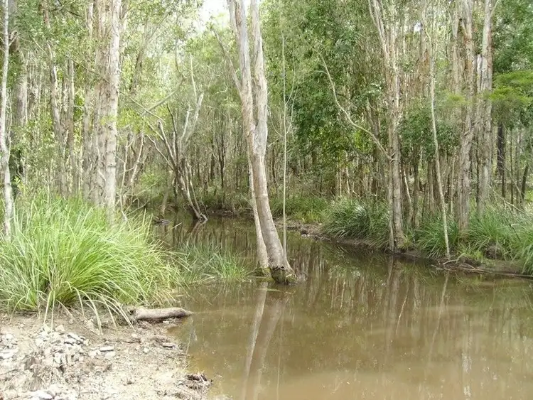 Seventh view of Homely land listing, 506 Bidwill Road, Bidwill QLD 4650