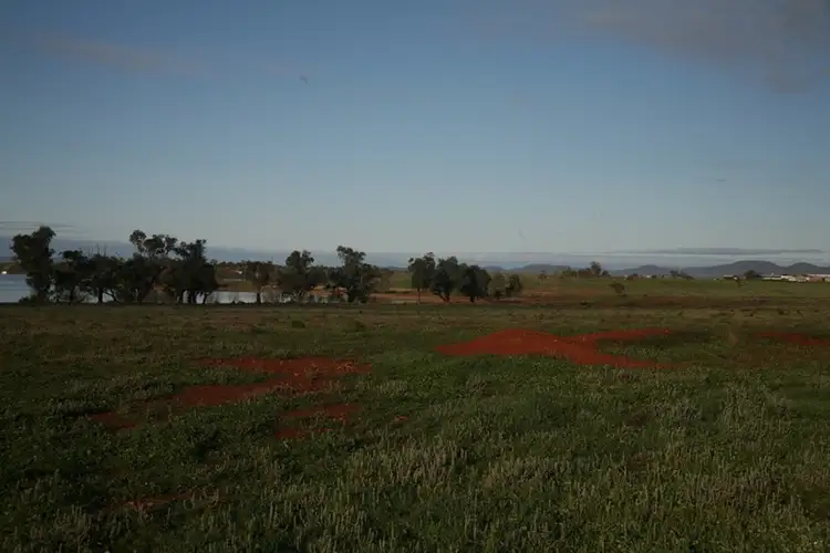 Main view of Homely rural property listing, "Woolwash" Sheet of Water Road, Lake Cargelligo NSW 2672