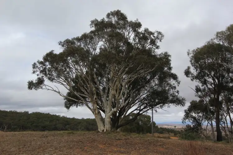 Second view of Homely land listing, Lot 1 Reardons Road., Yass NSW 2582