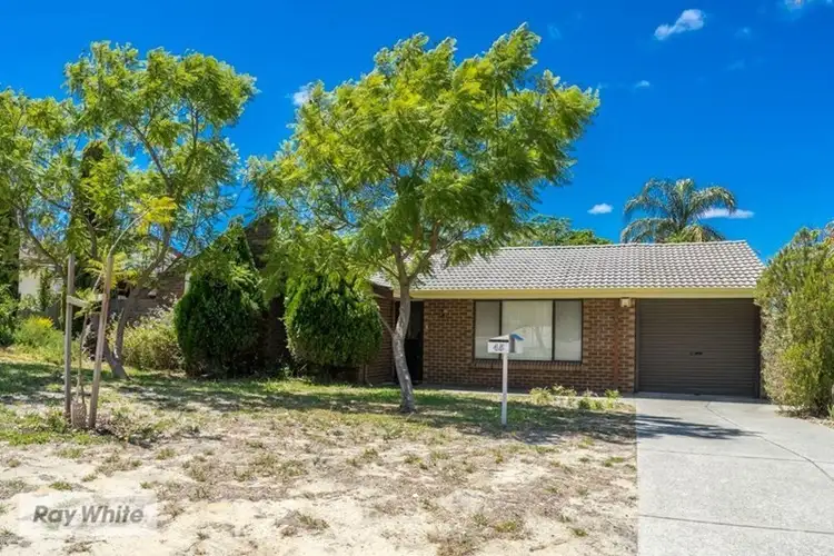 Main view of Homely house listing, 45 Dampier Loop, Mirrabooka WA 6061