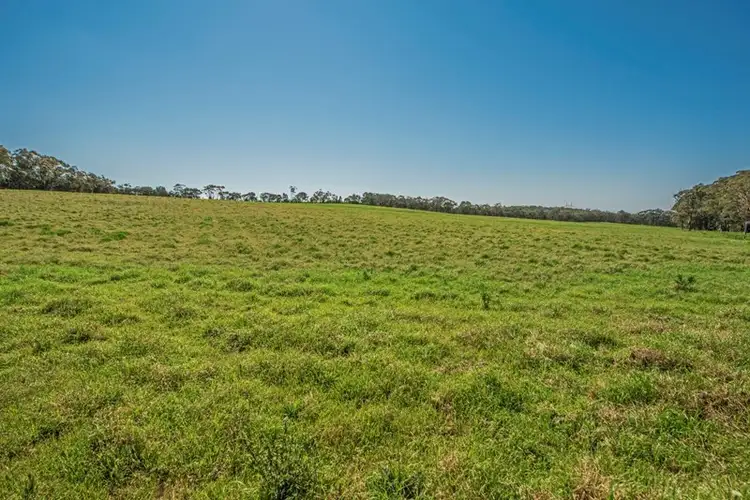 Second view of Homely rural property listing, 138 Hallards Road, Central Mangrove NSW 2250