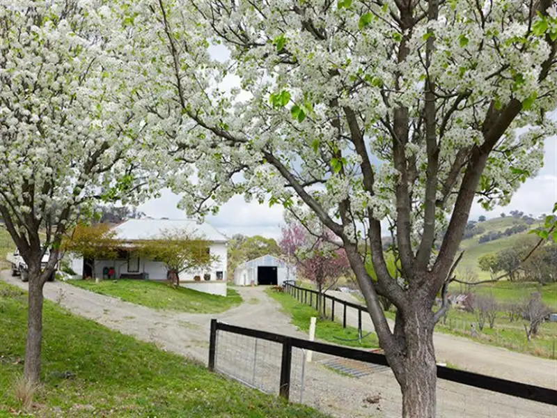 Main view of Homely rural property listing, Address available on request